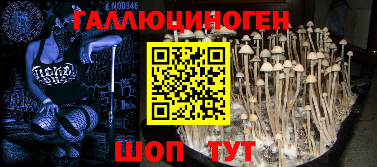 Псилоцибиновые грибы прущие грибы Новый Уренгой