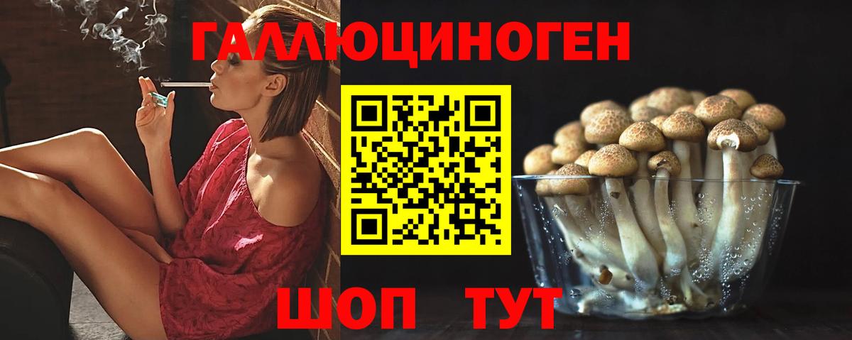Галлюциногенные грибы MAGIC MUSHROOMS  Вход с VPN  Новый Уренгой 